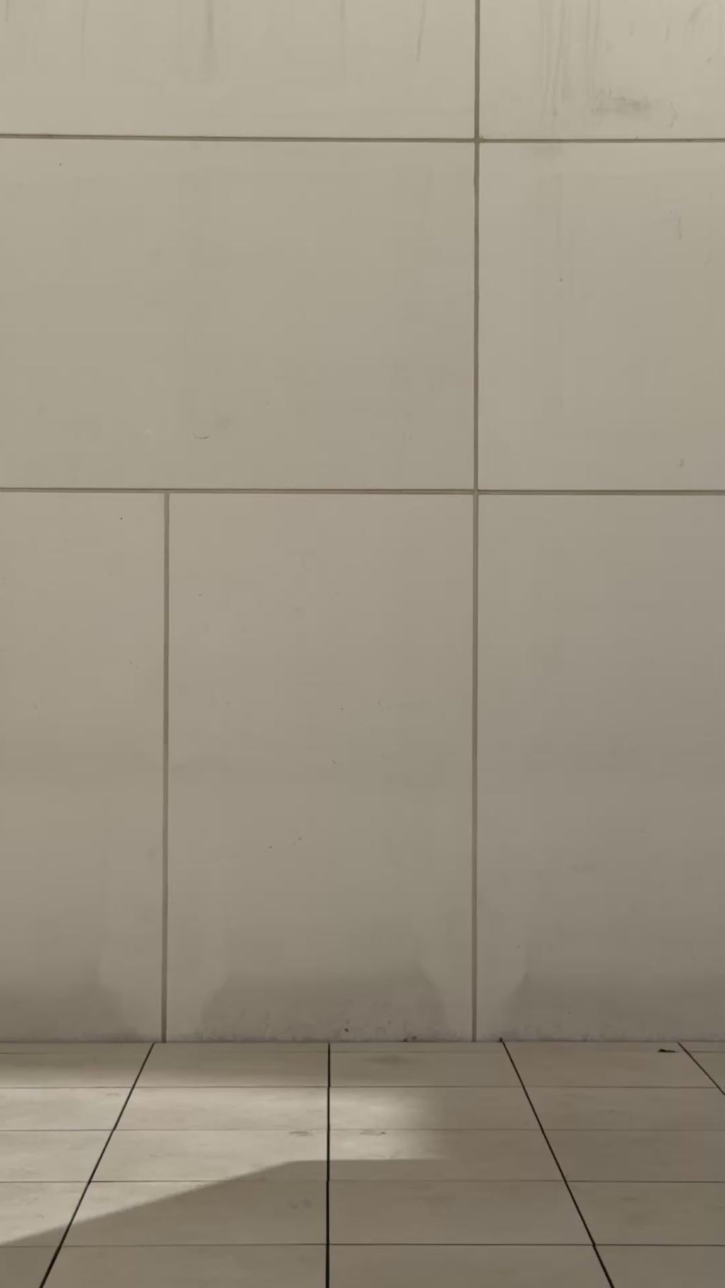 Herzchen-Tüllrock - beige/schwarz