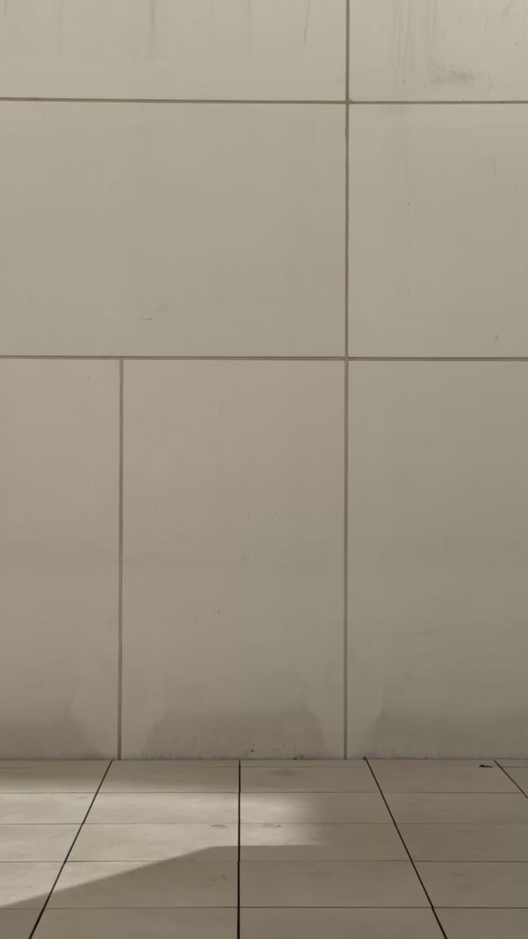 Herzchen-Tüllrock - beige/schwarz
